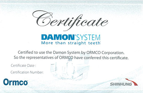 DAMON SYSTEM 인증서