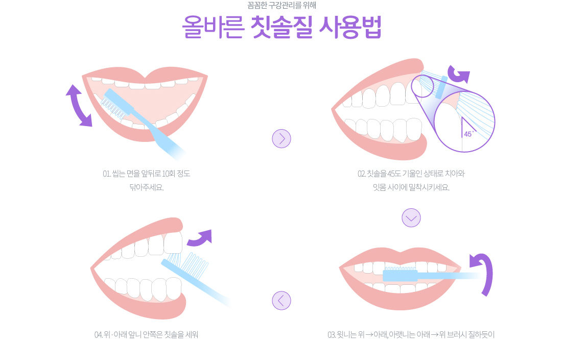 올바른 칫솔질 사용법